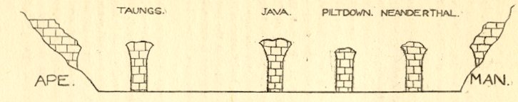 piltdown